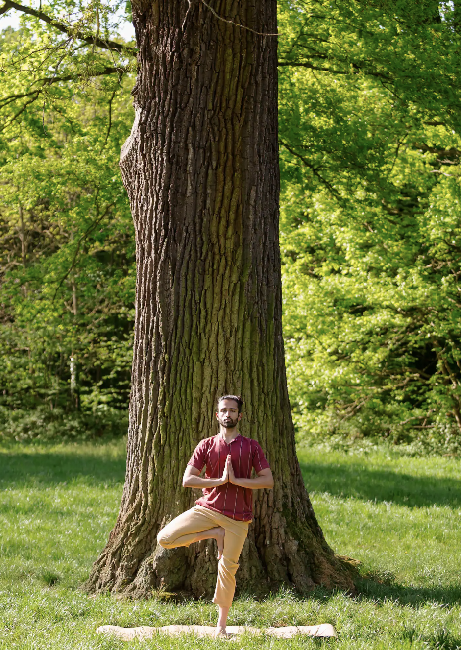 Posture de Yogasanas près d'un arbre